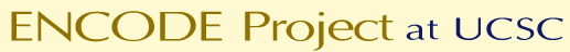 ENCODE Project at UCSC